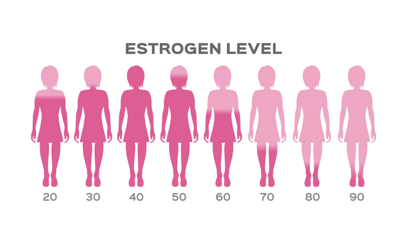 Nồng độ Estrogen cao