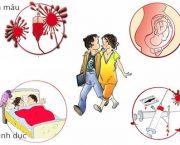 cam-nang-phong-benh-lay-truyen-qua-duong-tinh-duc-danh-cho-nu-gioi