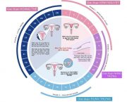 tinh-ngay-an-toan-de-tranh-thai-co-hieu-qua-khong