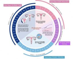 tinh-ngay-an-toan-de-tranh-thai-co-hieu-qua-khong