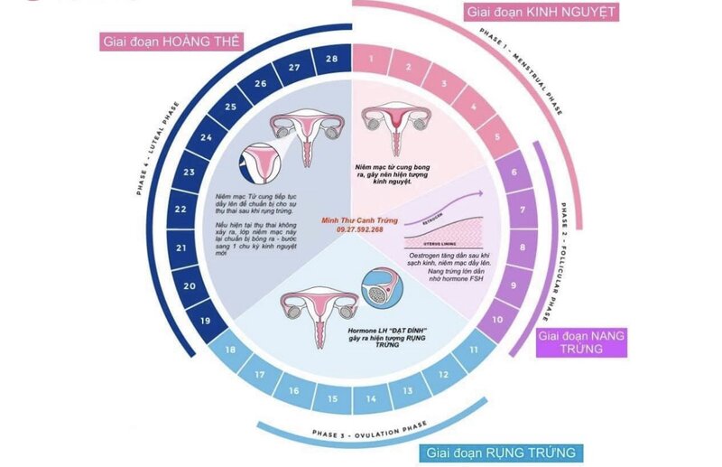 Tính ngày an toàn không hiệu quả để ngừa thai