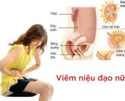 hoi-dap-vi-sao-viem-nieu-dao-chua-mai-khong-khoi