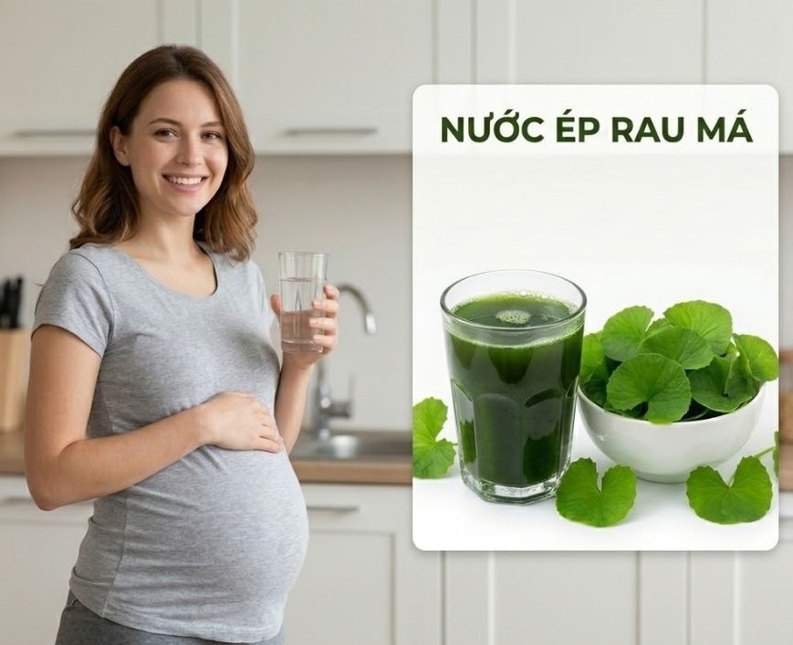 Những nguy cơ khi uống quá nhiều rau má