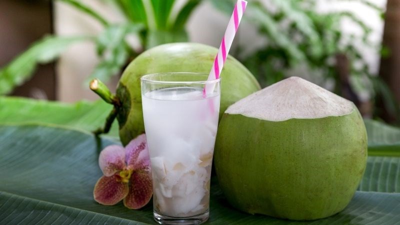 Nước dừa tươi mang lại nhiều lợi ích nổi bật