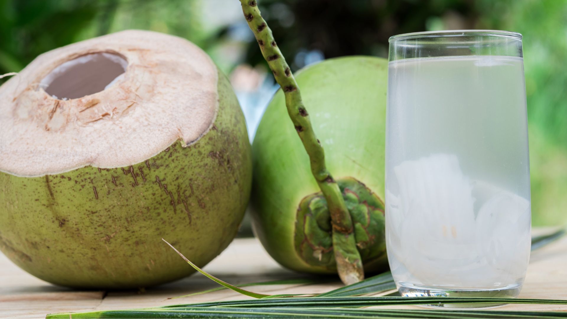 Phụ nữ mang thai nên uống nước dừa tươi