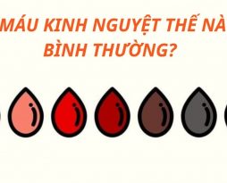 mau-mau-kinh-nguyet-the-nao-la-binh-thuong