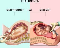 thai-ivf-co-sinh-thuong-duoc-khong