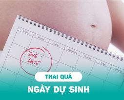 thai-qua-ngay-du-sinh-bao-lau-thi-can-sinh-mo